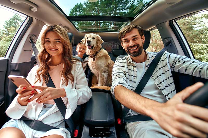 Auto Insurance 5 ta a1